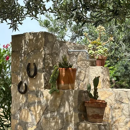 B&B Villa Alba-2
